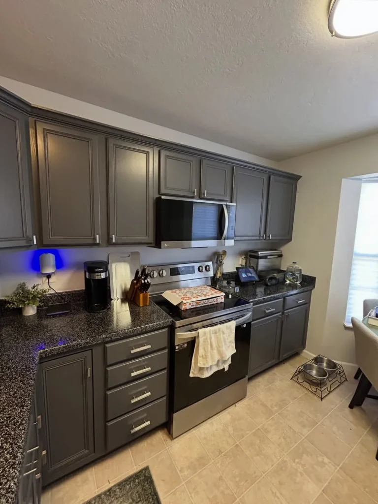 Charcoal Gray Cabinets with Dark Countertops