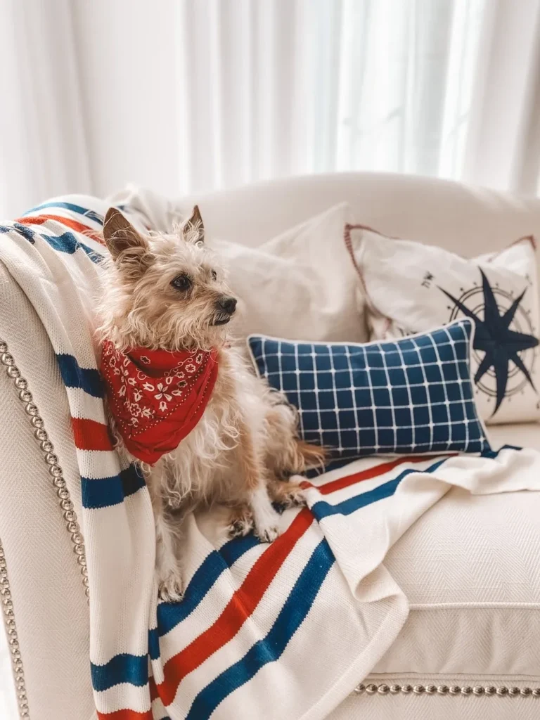 Patriotic Living Room Ideas for Dog Lovers