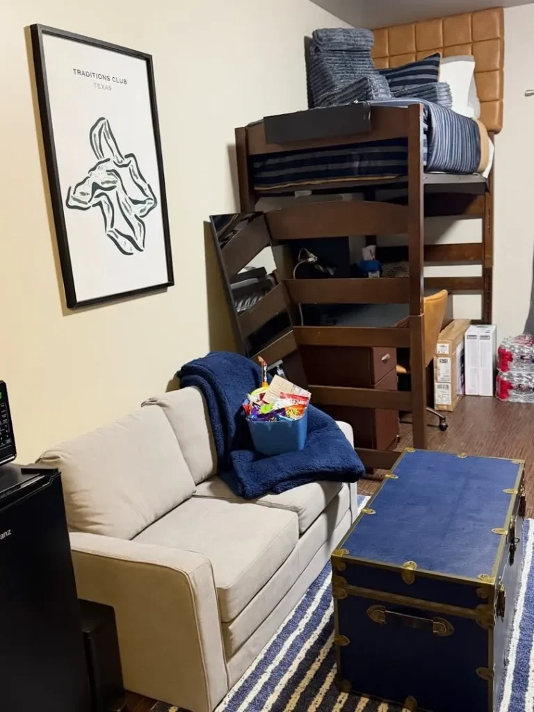 Shared Dorm Room With Lounge Space