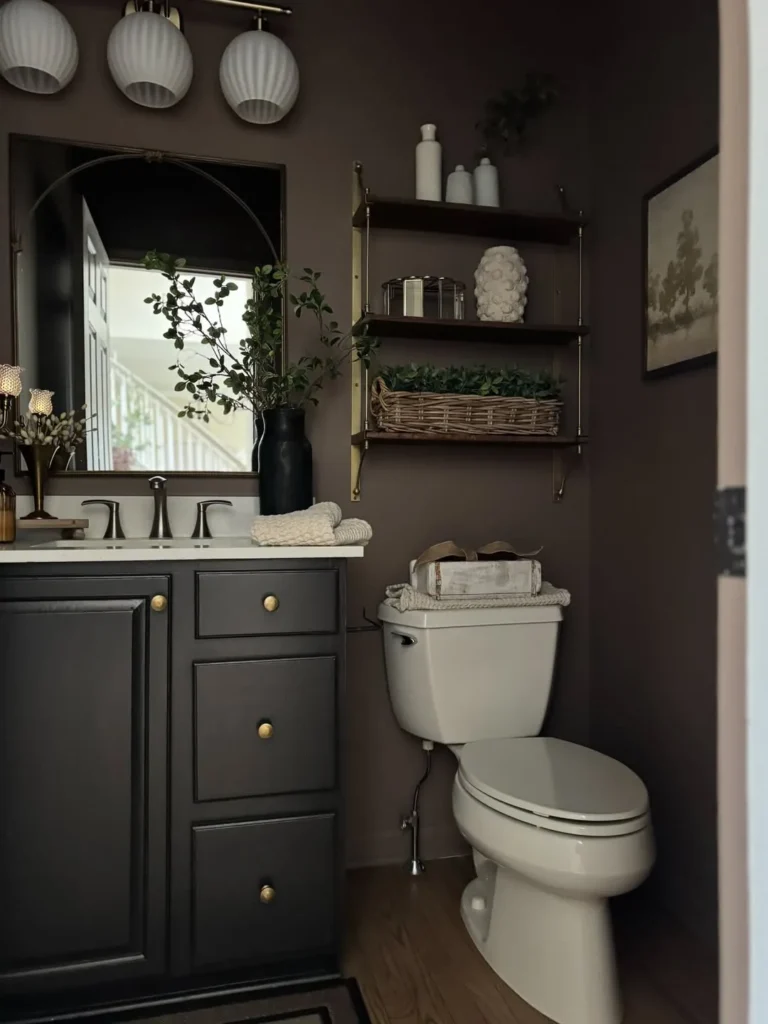 Chocolate Brown Small Bathroom Paint Idea