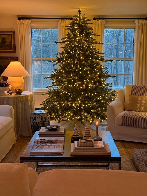 Warm White Lights on a Natural Green Tree