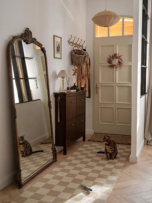 Vintage Mirror + Shoe Cabinet + Checkered Rug